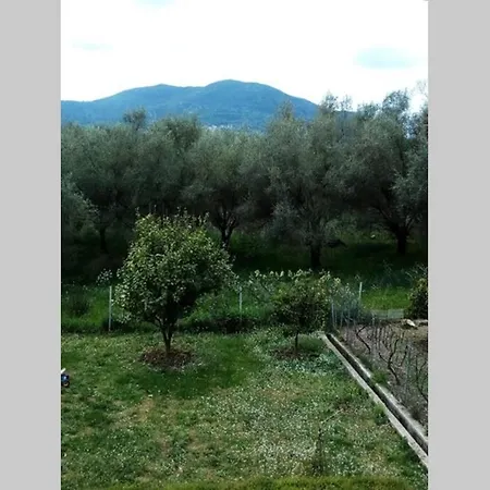 υπεροχη διαμονη... * Achílleion